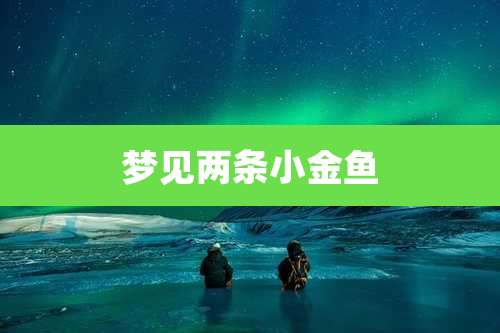 梦见两条小金鱼