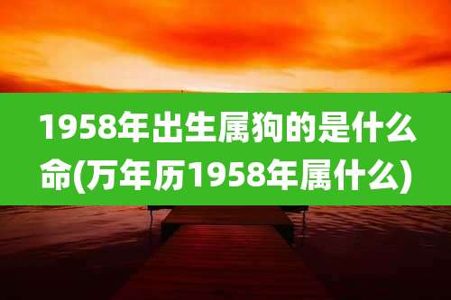 1958年出生属狗的是什么命(万年历1958年属什么)