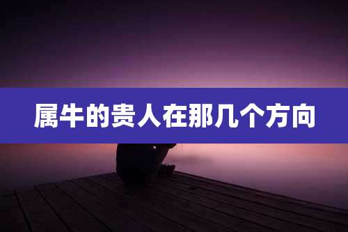 属牛的贵人在那几个方向