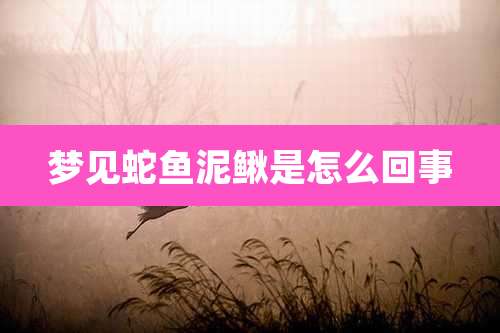 梦见蛇鱼泥鳅是怎么回事