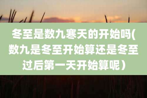 冬至是数九寒天的开始吗(数九是冬至开始算还是冬至过后第一天开始算呢）