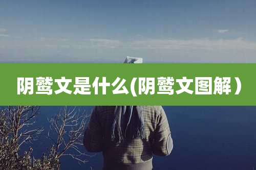 阴鹫文是什么(阴鹫文图解)