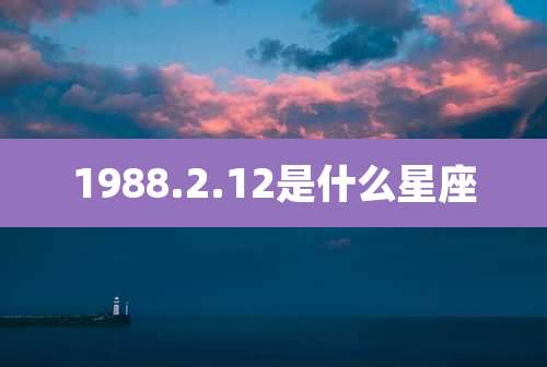 1988.2.12是什么星座