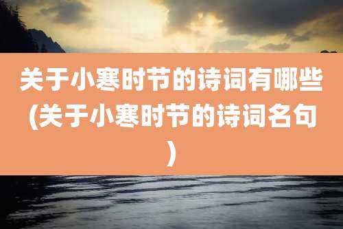 关于小寒时节的诗词有哪些(关于小寒时节的诗词名句)