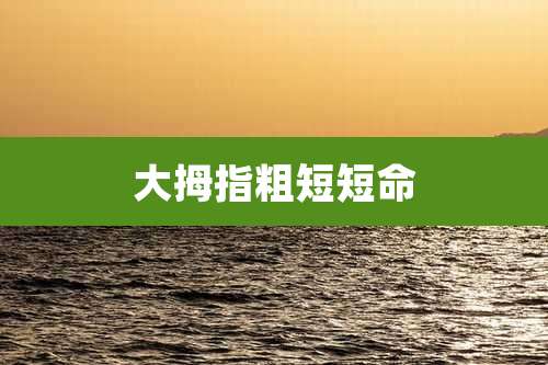 大拇指粗短短命