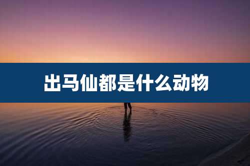 出马仙都是什么动物