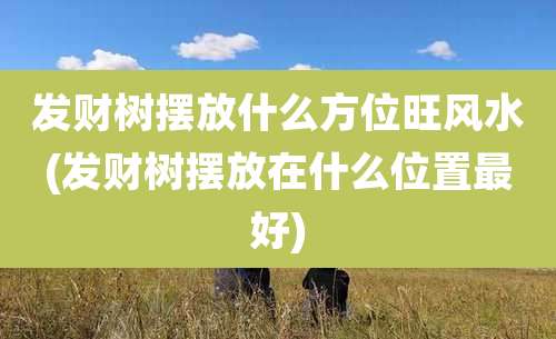 发财树摆放什么方位旺风水(发财树摆放在什么位置最好)
