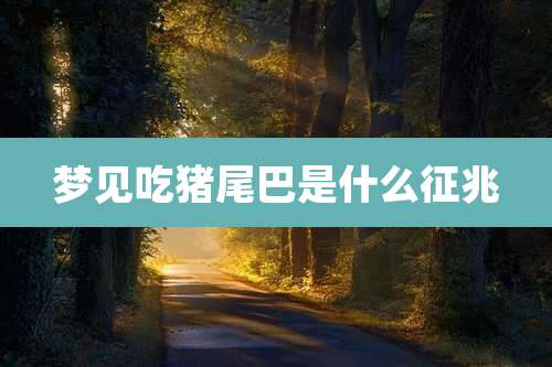 梦见吃猪尾巴是什么征兆