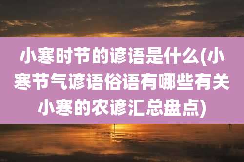 小寒时节的谚语是什么(小寒节气谚语俗语有哪些有关小寒的农谚汇总盘点)