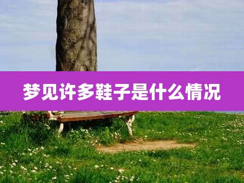 梦见许多鞋子是什么情况