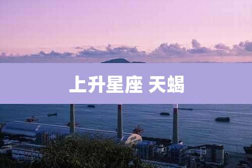 上升星座 天蝎