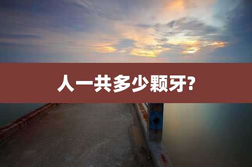 人一共多少颗牙?