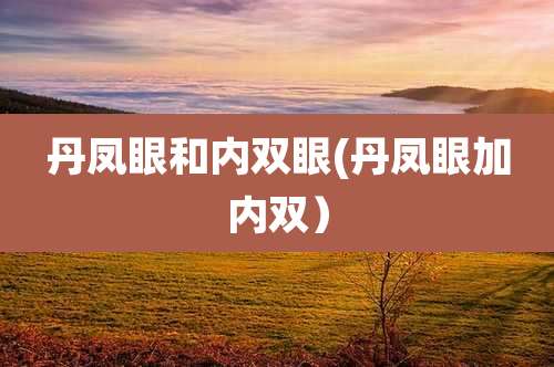 丹凤眼和内双眼(丹凤眼加内双）
