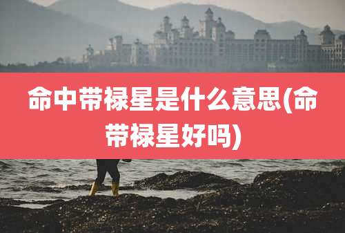 命中带禄星是什么意思(命带禄星好吗)
