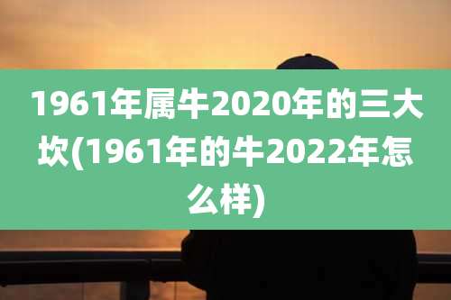 1961年属牛2020年的三大坎(1961年的牛2022年怎么样)
