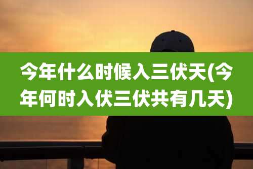 今年什么时候入三伏天(今年何时入伏三伏共有几天)