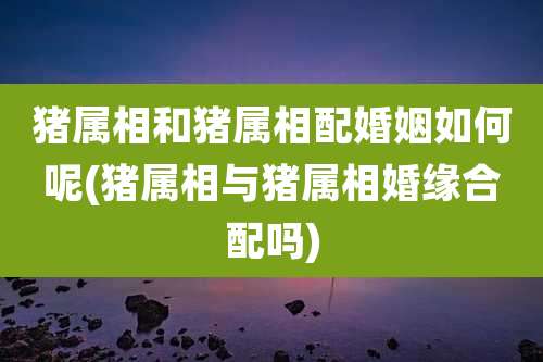 猪属相和猪属相配婚姻如何呢(猪属相与猪属相婚缘合配吗)