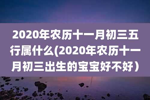 2020年农历十一月初三五行属什么(2020年农历十一月初三出生的宝宝好不好）