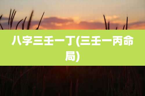 八字三壬一丁(三壬一丙命局)