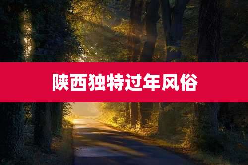 陕***特过年风俗