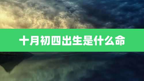 十月初四出生是什么命