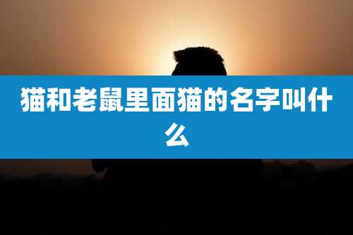 猫和老鼠里面猫的名字叫什么