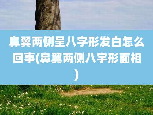 鼻翼两侧呈八字形发白怎么回事(鼻翼两侧八字形面相)