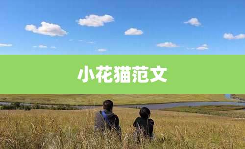 小花猫范文