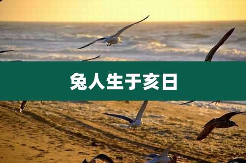 兔人生于亥日