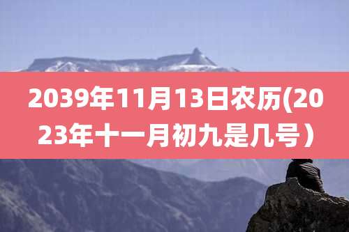 2039年11月13日农历(2023年十一月初九是几号）
