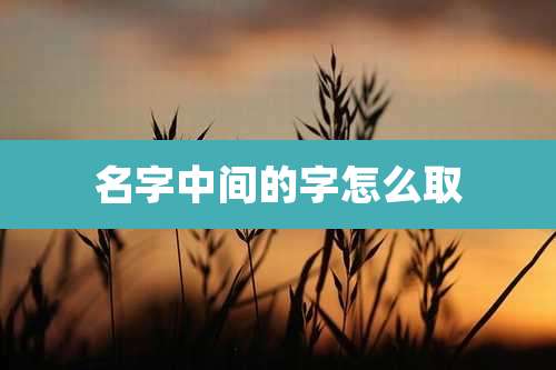 名字中间的字怎么取
