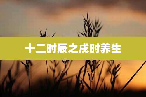 十二时辰之戌时养生