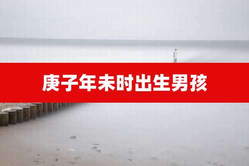 庚子年未时出生男孩