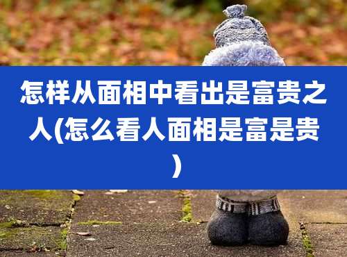 怎样从面相中看出是富贵之人(怎么看人面相是富是贵)