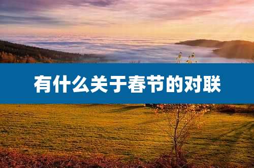 有什么关于春节的对联