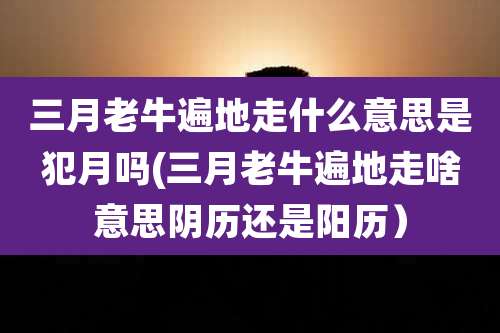 三月老牛遍地走什么意思是犯月吗(三月老牛遍地走啥意思阴历还是阳历)