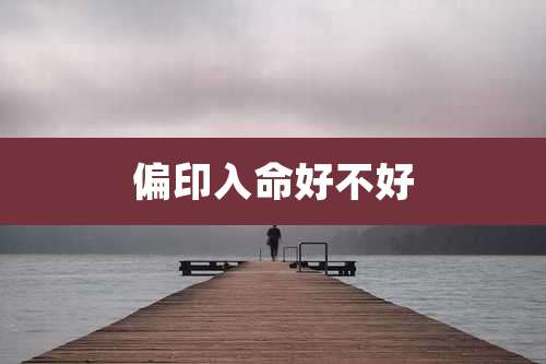 偏印入命好不好
