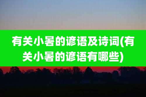 有关小暑的谚语及诗词(有关小暑的谚语有哪些)