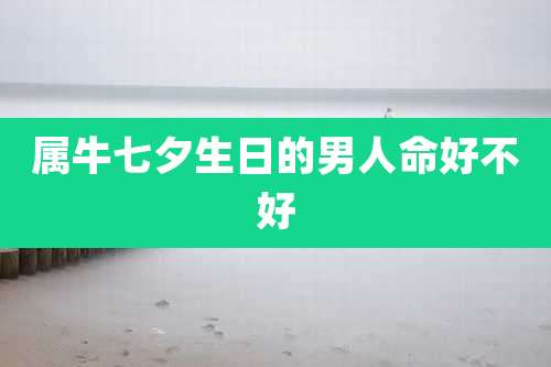 属牛七夕生日的男人命好不好