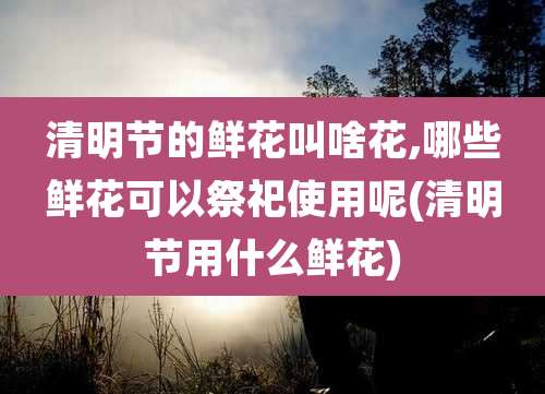 清明节的鲜花叫啥花,哪些鲜花可以祭祀使用呢(清明节用什么鲜花)