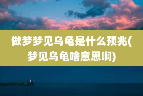 做梦梦见乌龟是什么预兆(梦见乌龟啥意思啊)