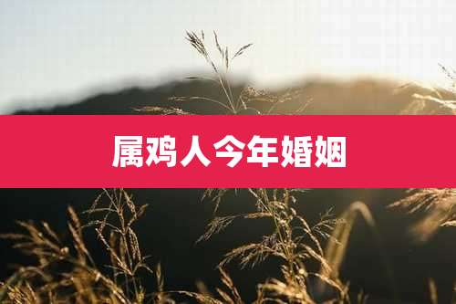 属鸡人今年婚姻
