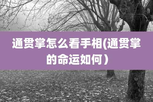 通贯掌怎么看手相(通贯掌的命运如何)