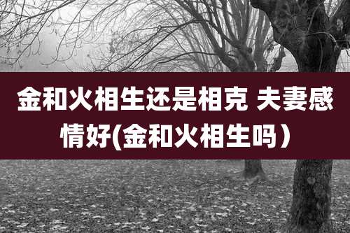 金和火相生还是相克 夫妻感情好(金和火相生吗）