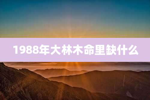 1988年大林木命里缺什么