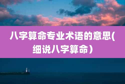 八字算命专业术语的意思(细说八字算命)