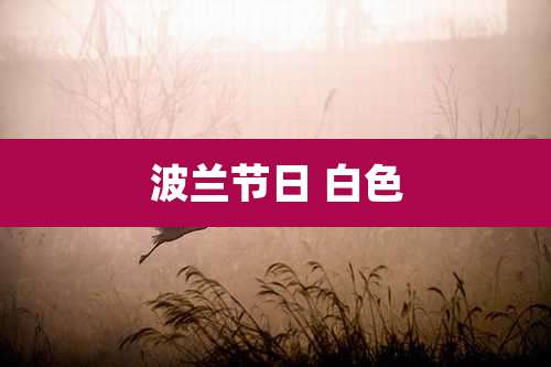 波兰节日 白色