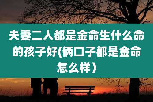 夫妻二人都是金命生什么命的孩子好(俩口子都是金命怎么样)