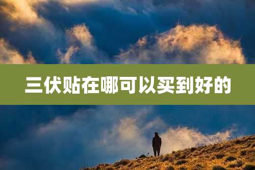三伏贴在哪可以买到好的