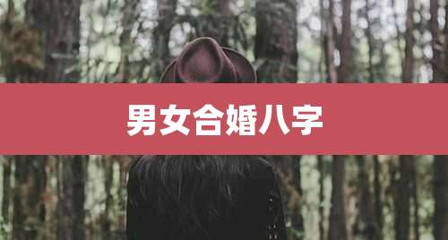 男女合婚八字